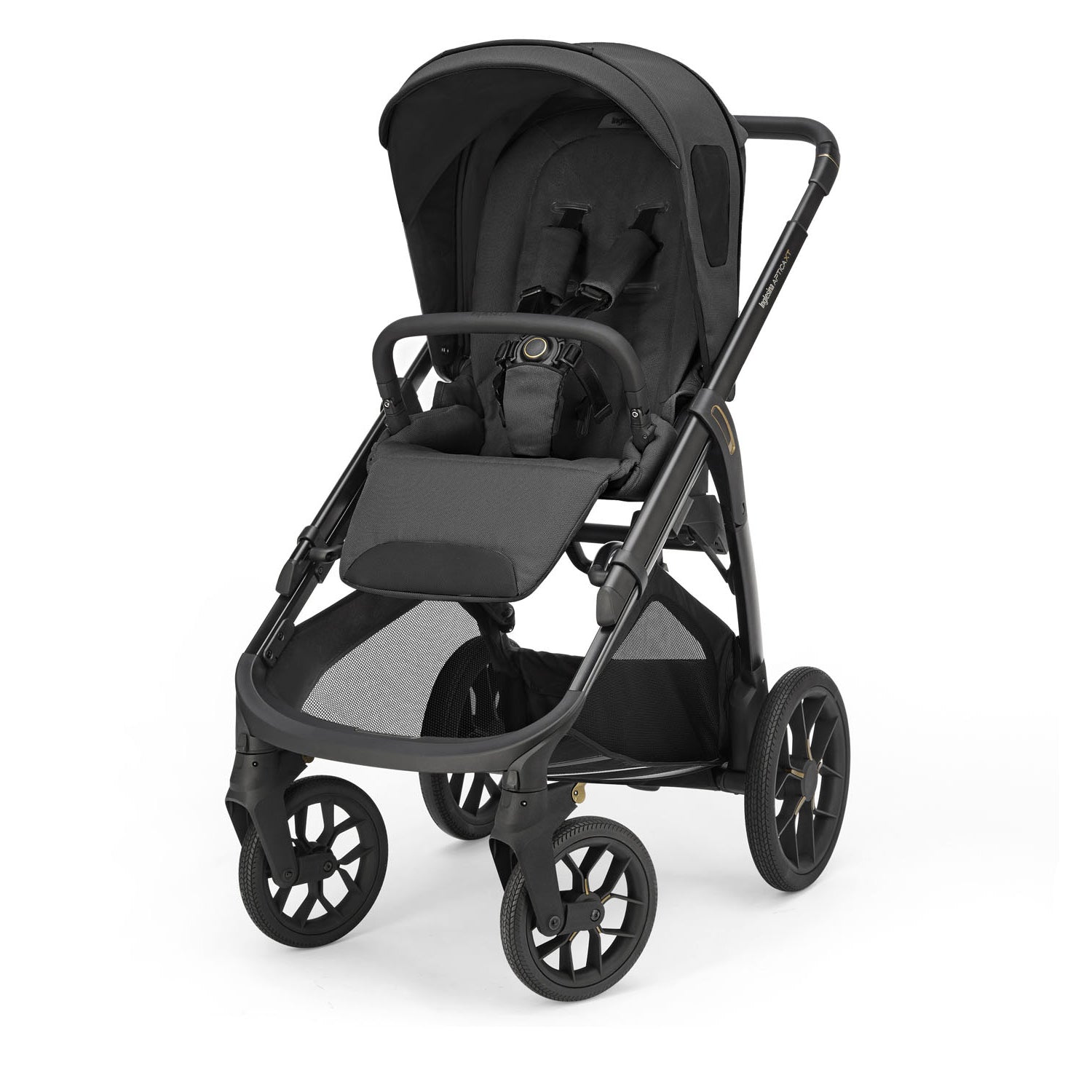 INGLESINA 　APTICA アプティカ　ベビーカー Inglesina Aptica XT Stroller: All-Terrain Ready